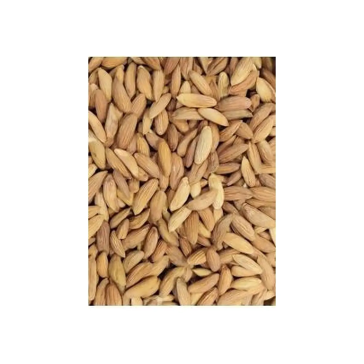 Almond Inshell 500gm Box