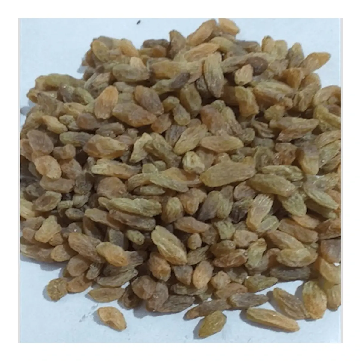 Kismis Afghan - 250gm Pouch #Saffron