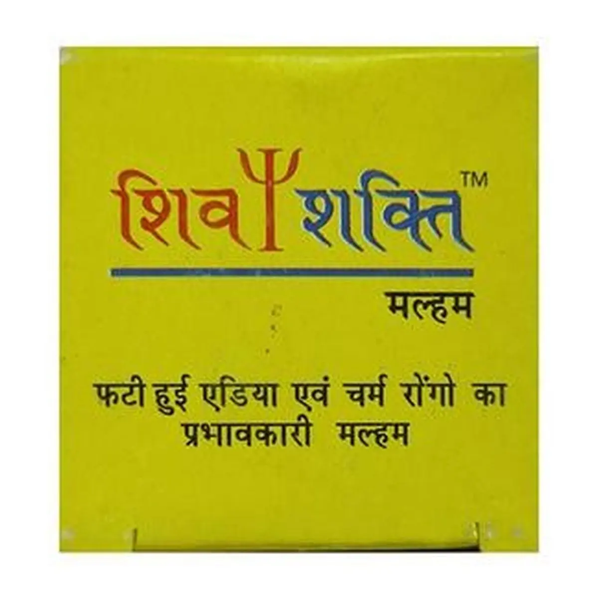 Shivshakti Oinment 170gm Jar