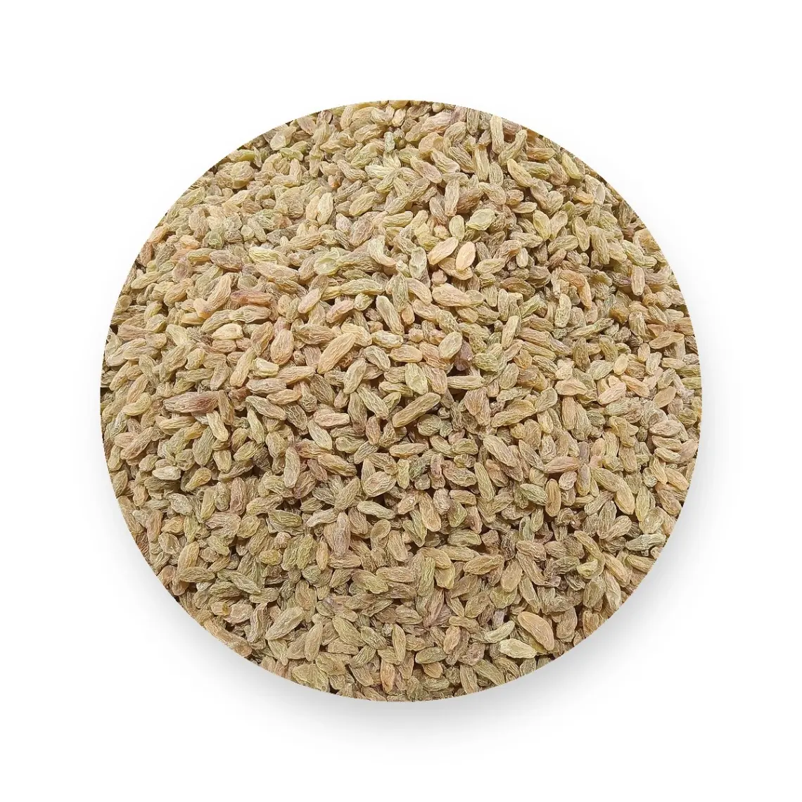 Kismis Indian - Loose (10kg Pack)