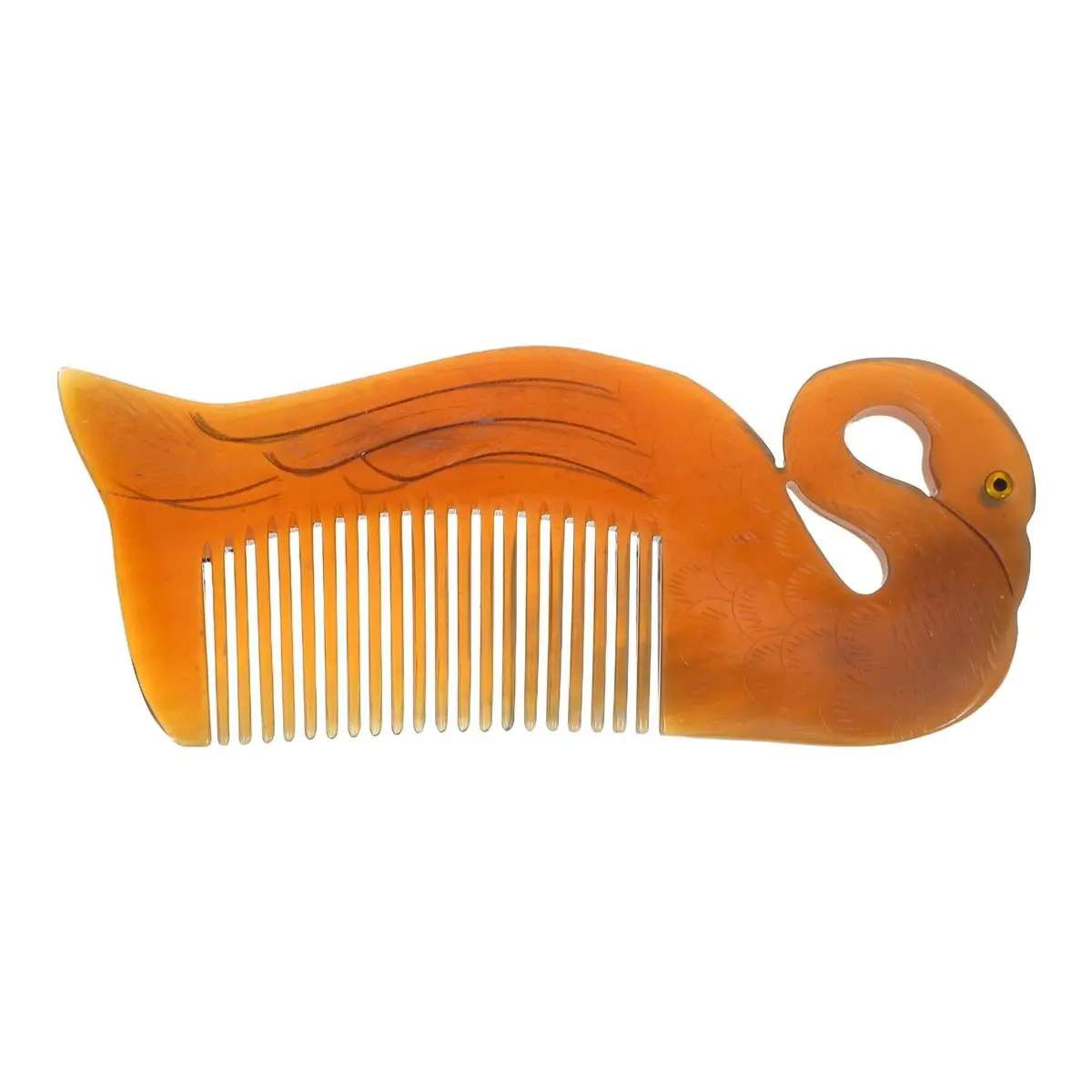 Comb Swan